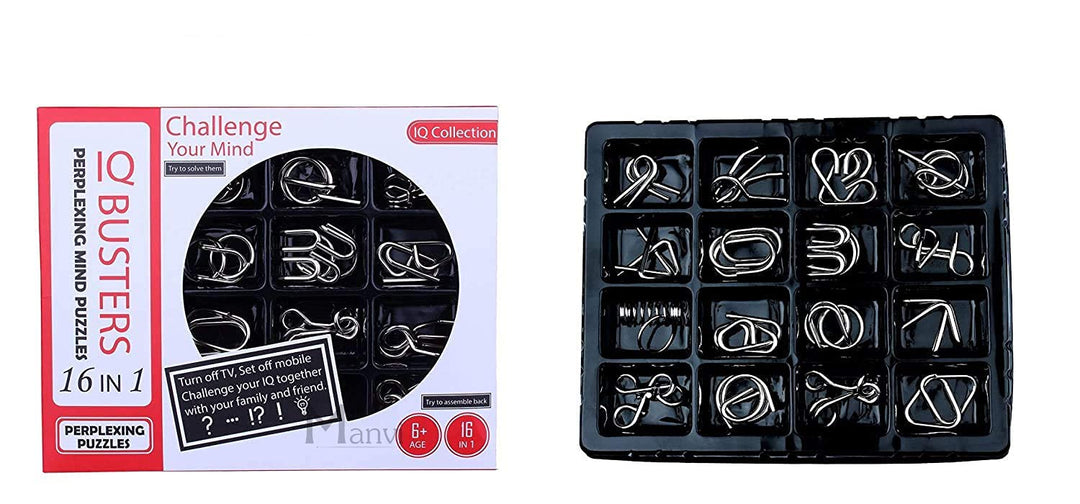 Brain Teaser  IQ Test Metal  Puzzle Toy ( 16 in 1)
