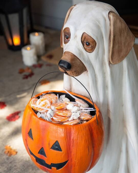 Halloween Ghost Dog Candy Bowl