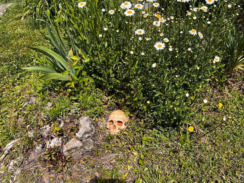 Garden Skull Creepy Garden Decor Garden Gifts Halloween Garden Decor