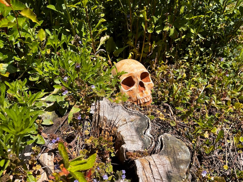 Garden Skull Creepy Garden Decor Garden Gifts Halloween Garden Decor