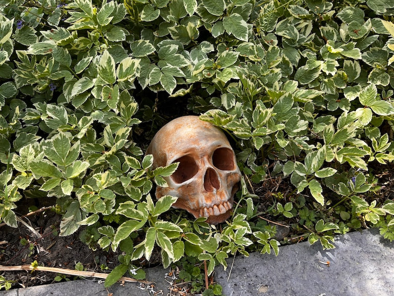 Garden Skull Creepy Garden Decor Garden Gifts Halloween Garden Decor