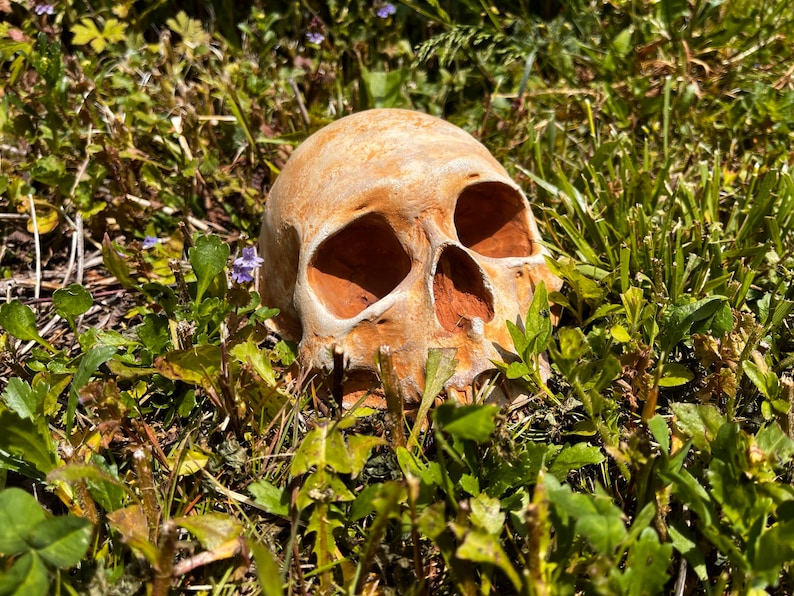 Garden Skull Creepy Garden Decor Garden Gifts Halloween Garden Decor