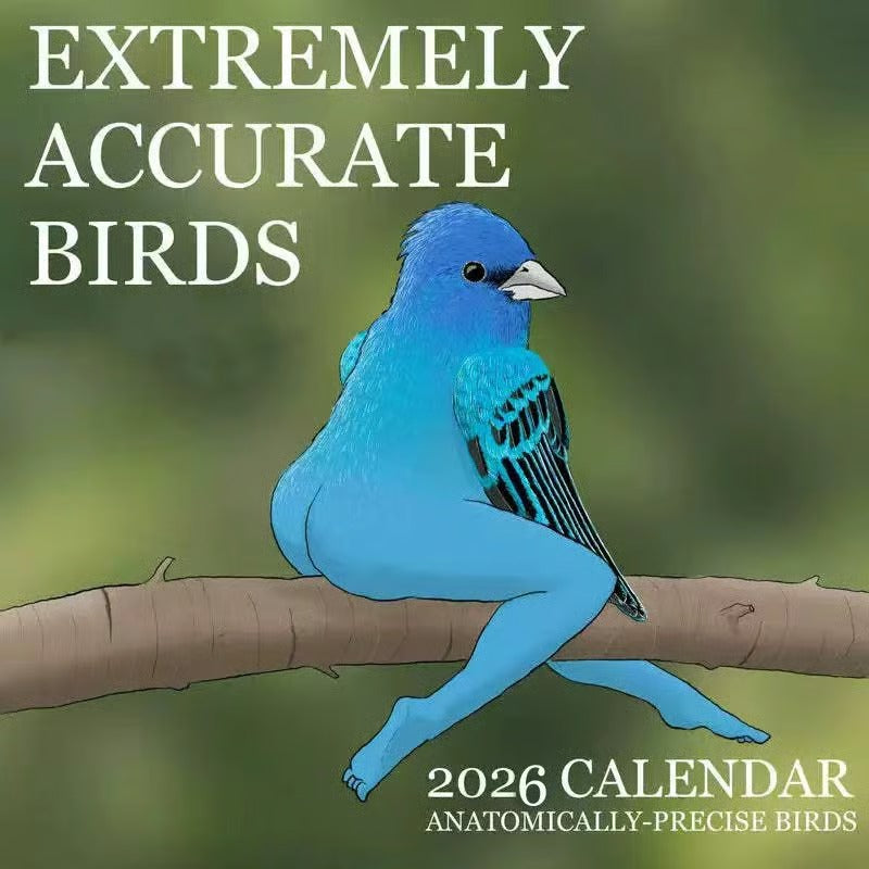 Christmas Gift 2026 Calendar of Extremely Accurate Birds