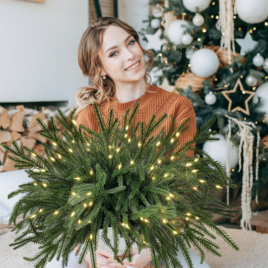 Christmas Norfolk Pine Branches