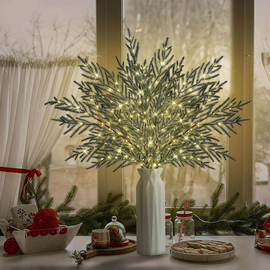 Christmas Norfolk Pine Branches