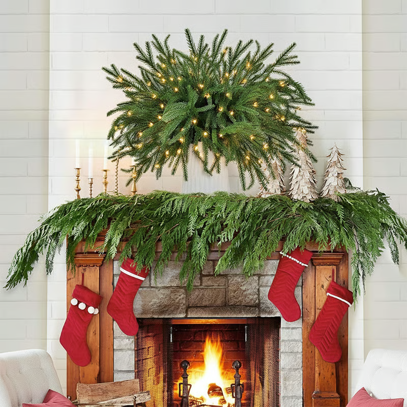 Christmas Norfolk Pine Branches