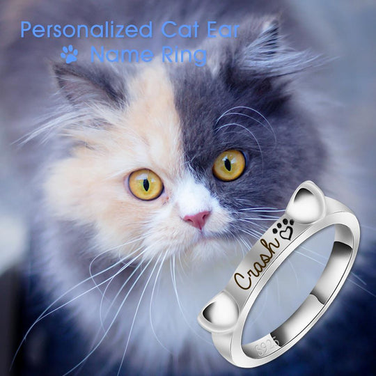 Christmas Gift Engraved Ear & Bone Shaped Pet Ring Ring MelodyNecklace