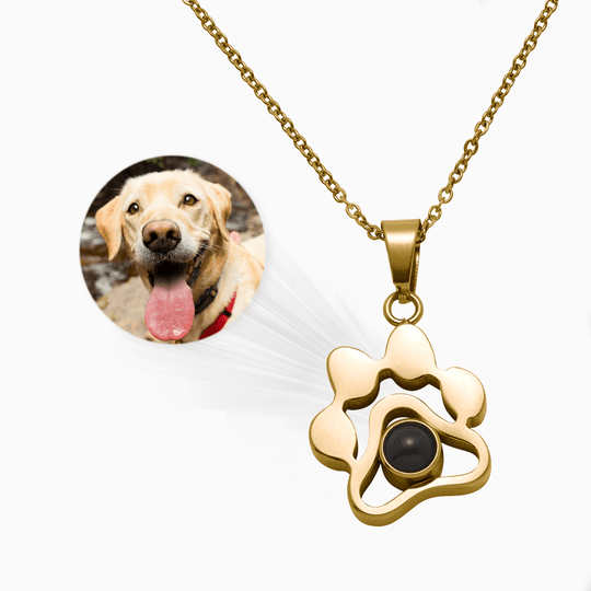 Dog Paw Pet Photo Inside Projection Necklace Necklace MelodyNecklace