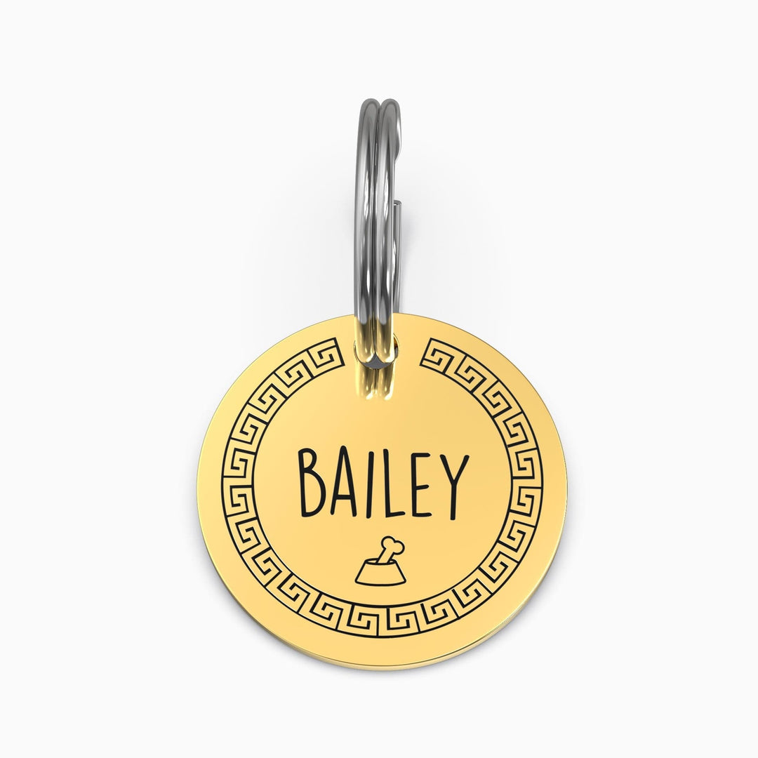 Personalized Pet Tag - Custom Dog Tag - Cat Tag Pet Tag Mint & Lily