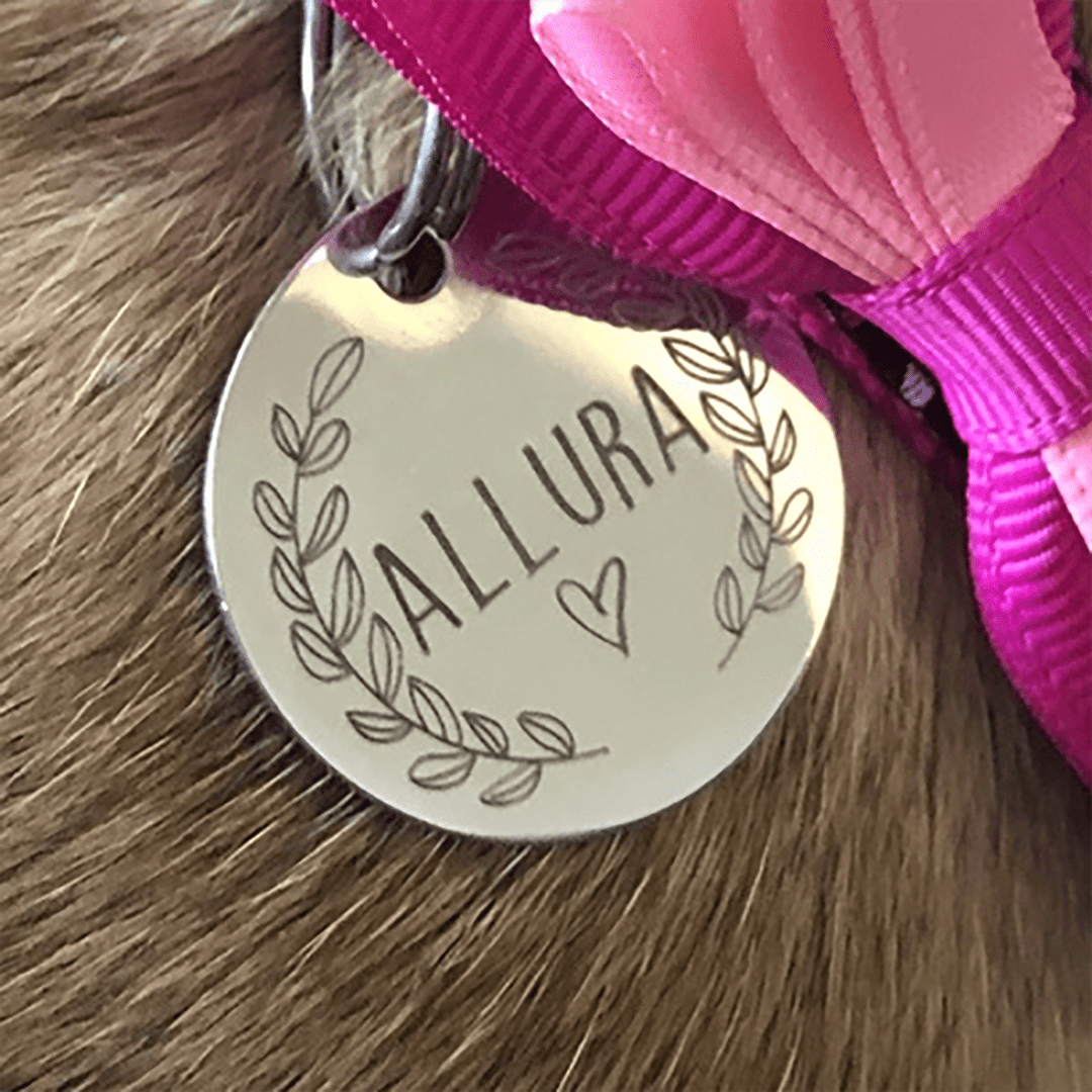 Personalized Pet Tag - Custom Dog Tag - Cat Tag Pet Tag Mint & Lily