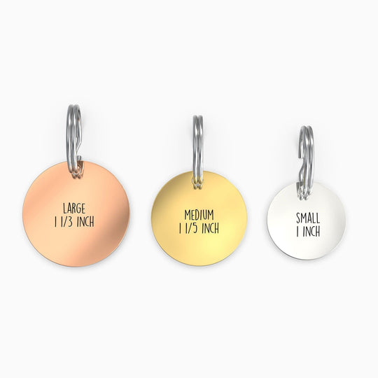 Personalized Pet Tag - Custom Dog Tag - Cat Tag Pet Tag Mint & Lily