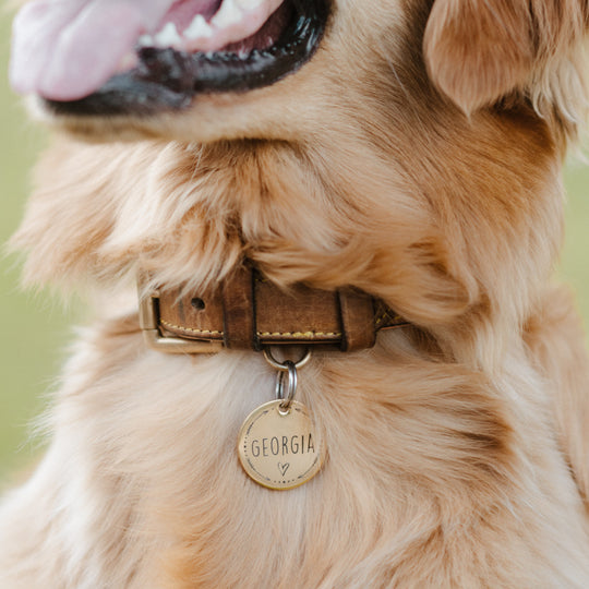 Personalized Pet Tag - Custom Dog Tag - Cat Tag Pet Tag Mint & Lily
