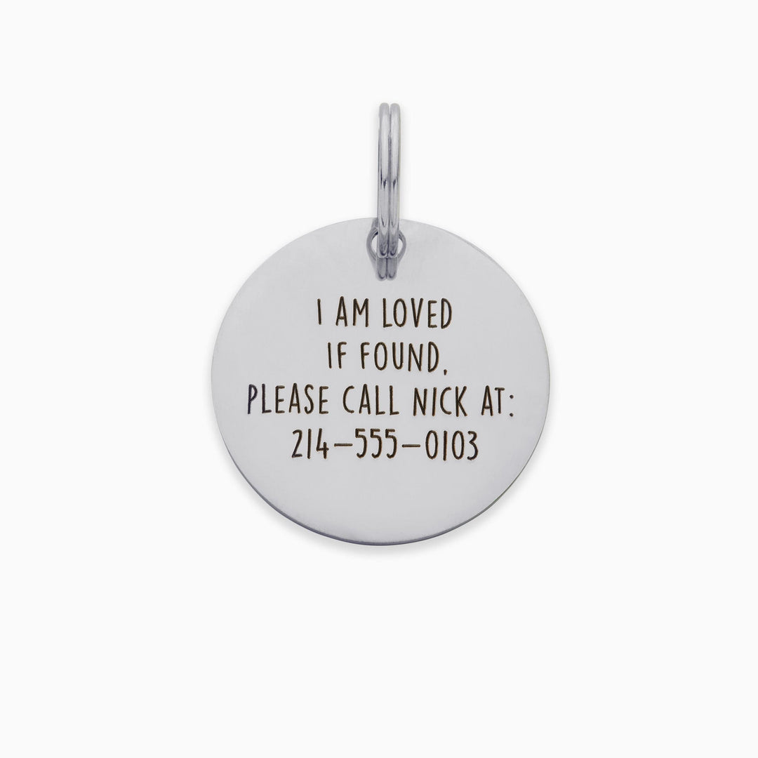 Personalized Pet Tag - Custom Dog Tag - Cat Tag Pet Tag Mint & Lily