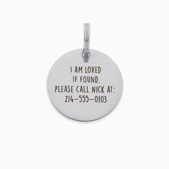 Personalized Pet Tag - Custom Dog Tag - Cat Tag Pet Tag Mint & Lily