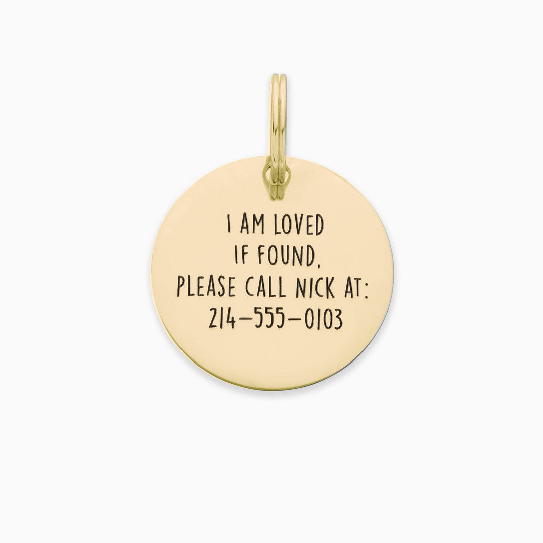 Personalized Pet Tag - Custom Dog Tag - Cat Tag Pet Tag Mint & Lily