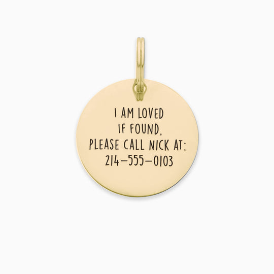 Personalized Pet Tag - Custom Dog Tag - Cat Tag Pet Tag Mint & Lily