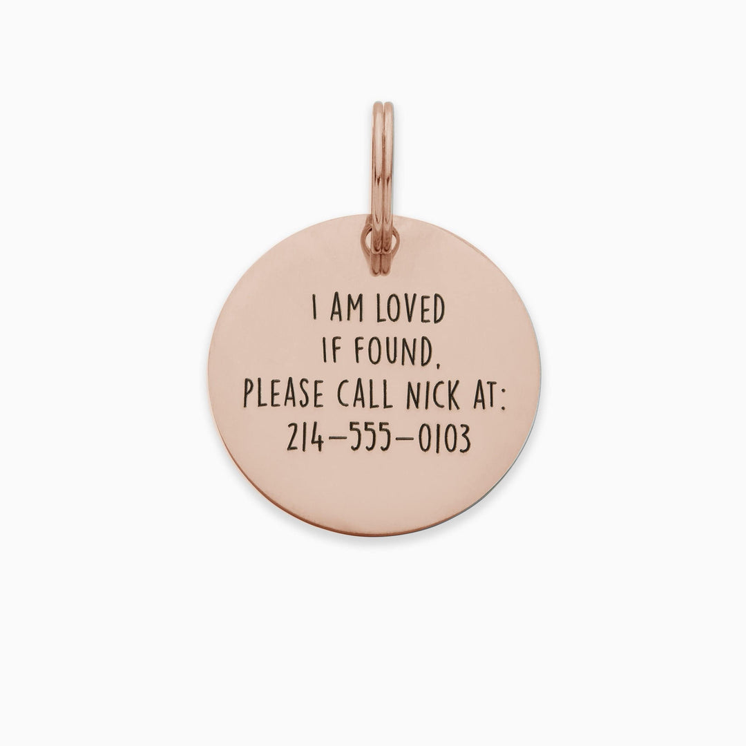 Personalized Pet Tag - Custom Dog Tag - Cat Tag Pet Tag Mint & Lily
