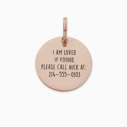 Personalized Pet Tag - Custom Dog Tag - Cat Tag Pet Tag Mint & Lily