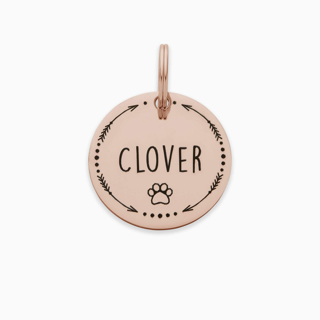 Personalized Pet Tag - Custom Dog Tag - Cat Tag Pet Tag Mint & Lily