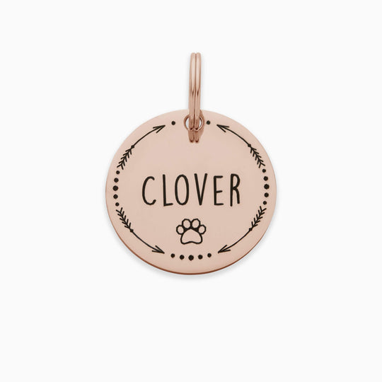 Personalized Pet Tag - Custom Dog Tag - Cat Tag Pet Tag Mint & Lily