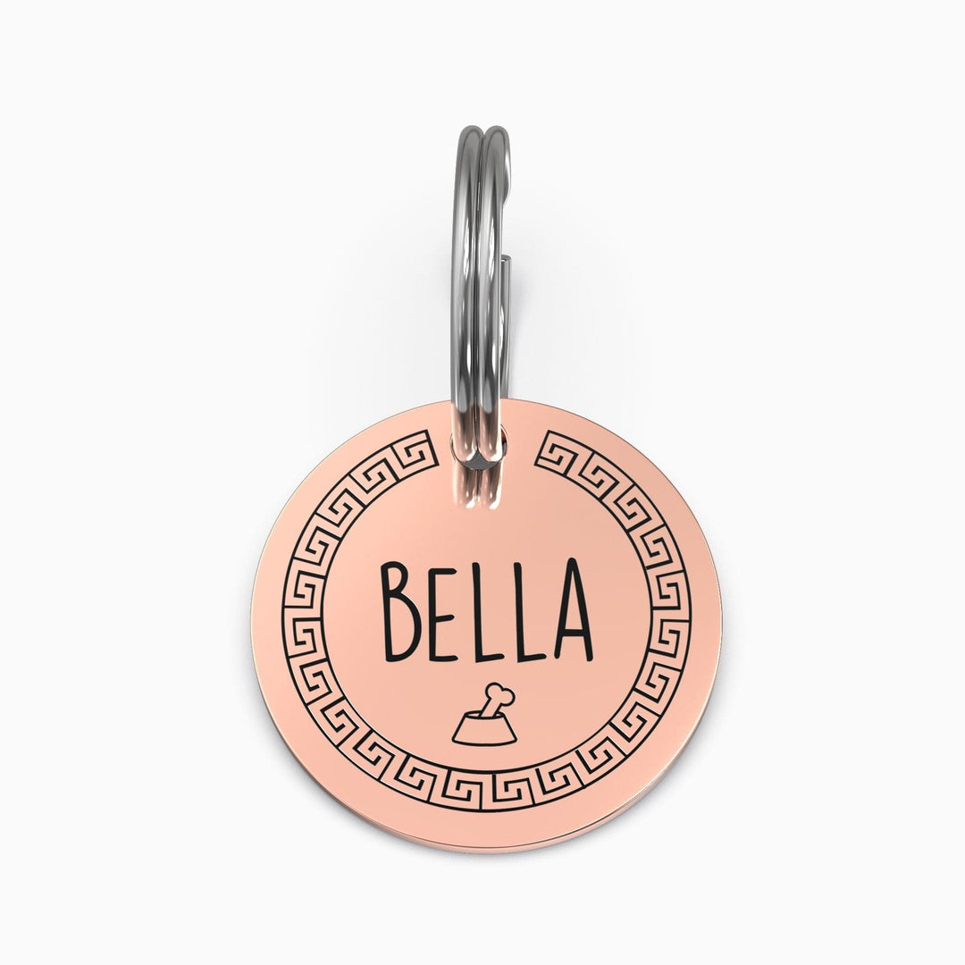 Personalized Pet Tag - Custom Dog Tag - Cat Tag Rose Gold / Small / Greek + Bone Pet Tag Mint & Lily