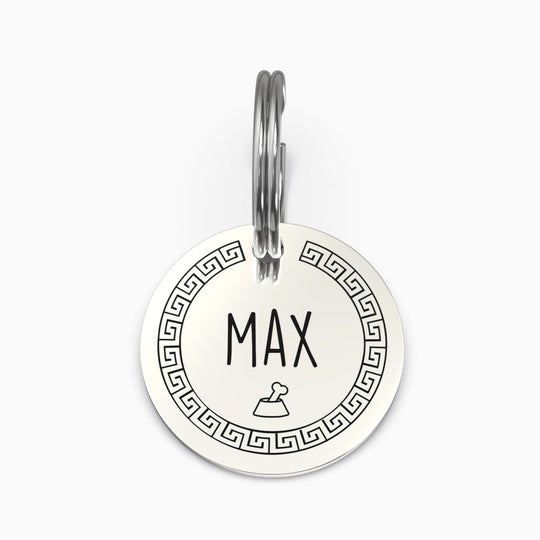 Personalized Pet Tag - Custom Dog Tag - Cat Tag Silver / Small / Greek + Bone Pet Tag Mint & Lily