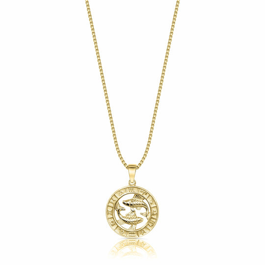 Zodiac Coin Necklace Pisces / 14KT Gold Vermeil Vivamacity